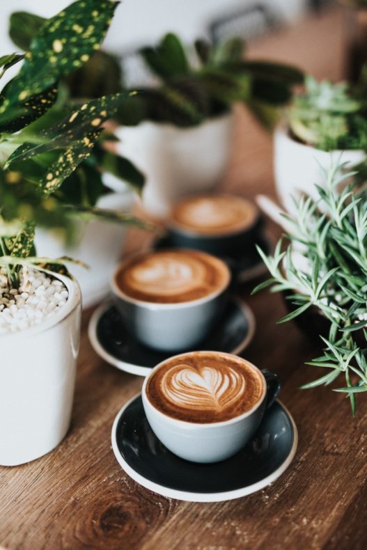 Može li nam kafa produžiti život?