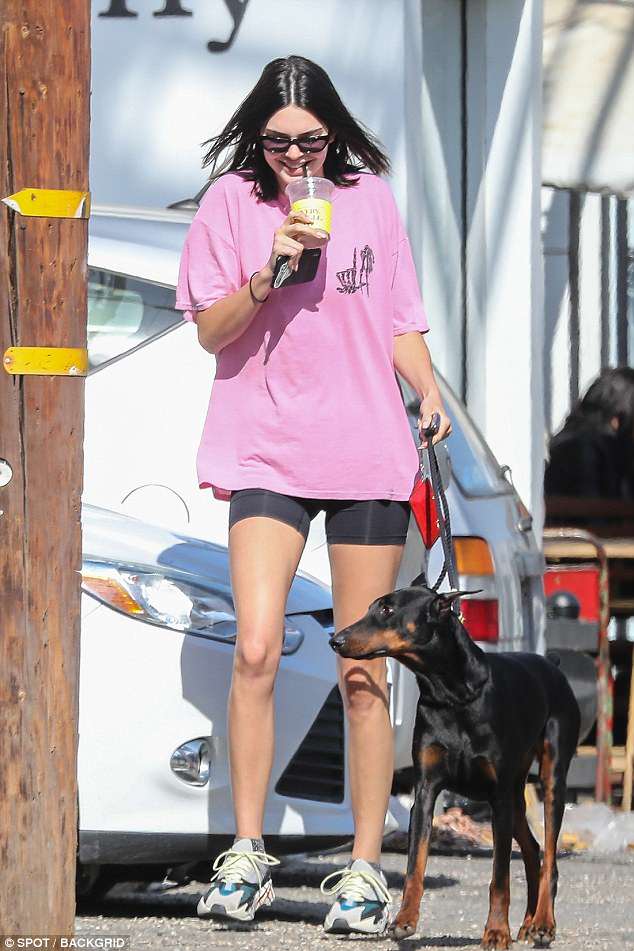Kendall Jenner: Ljepotica i njen doberman napravili incident u restoranu, pa pobjegli