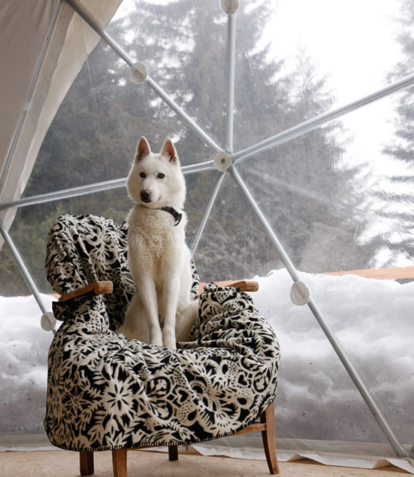 Whitepod Hotel jedan je od najljepših zimskih glamping smještaja na svijetu