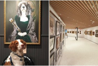 6 svjetskih muzeja posvećenih psima koje morate posjetiti