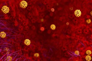 Stručnjaci tvrde: Vlažna sluznica može pomoći u zaštiti od korona virusa