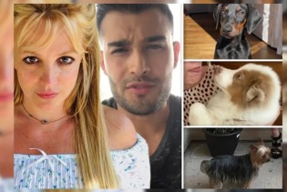 Britney Spears i Sam Asghari dogovorili se oko podjele svojih kućnih ljubimaca nakon razvoda