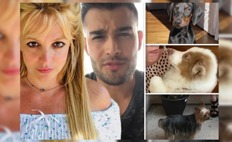 Britney Spears i Sam Asghari dogovorili se oko podjele svojih kućnih ljubimaca nakon razvoda