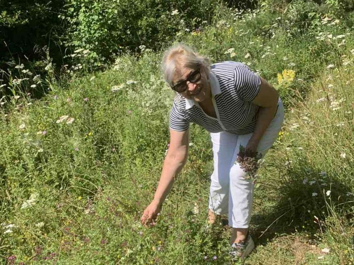 Rakonjac: U modernom vremenu alternativnoj medicini pristupa se na mnogo bolji način