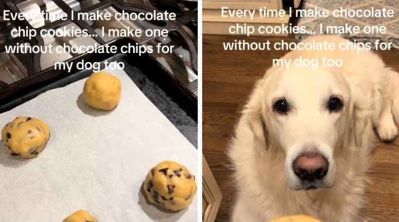 Vlasnica objasnila zašto svaki put kada radi kekse napravi i jedan bez čokolade