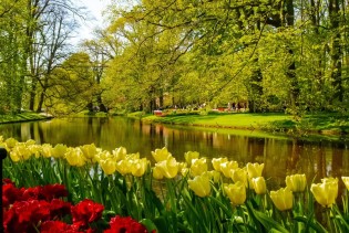 Uskoro će biti otvoreni predivni vrtovi tulipana, udaljeni samo pola sata vožnje od Amsterdama