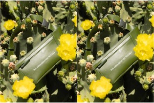 Ovaj brend stvara torbe od veganske kože dobijene iz kaktusa