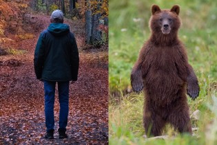 Čovjek ili medvjed? Hipotetičko pitanje pokrenulo debatu o sigurnosti žena