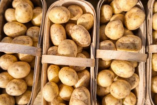 Kako spriječiti krompir da proklija?