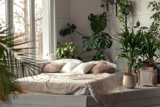 Stvorite oazu mira u spavaćoj sobi uz ove biljke