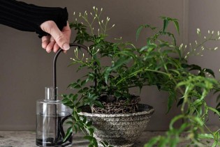 Plantstraws je inovativan i estetičan način zalijevanja biljaka