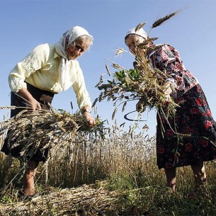 Međunarodni dan žena na selu