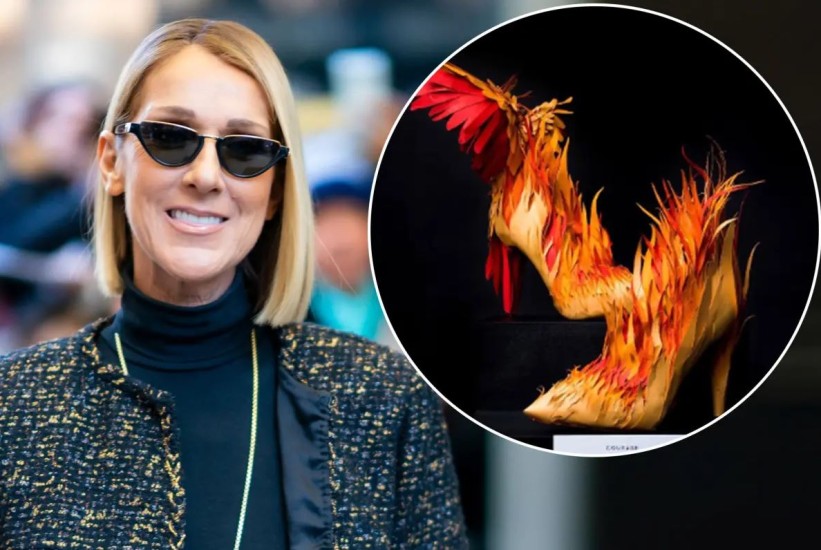 Celine Dion iznenadila fanove neobičnim cipelama koje podsjećaju na kokoši