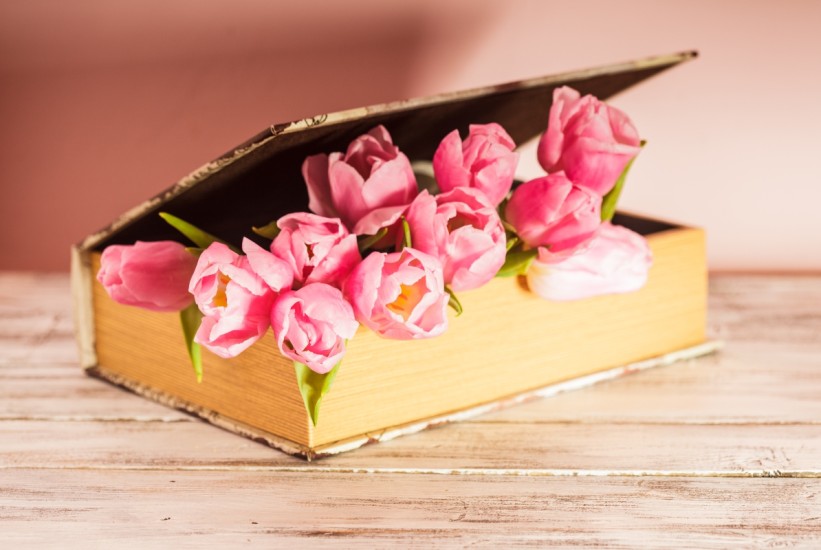 Novi početak između korica: 4 knjige koje vas bude iznutra