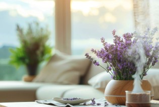 Eterična ulja i biljke koje će udaljiti pauke i insekte iz vaše kuće!