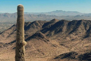 Phoenix je grad gdje pustinja priča svoju priču