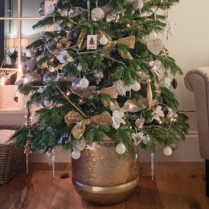 Božić u domu: Zašto je drvce u tegli savršen izbor ove godine