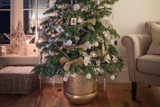 Božić u domu: Zašto je drvce u tegli savršen izbor ove godine