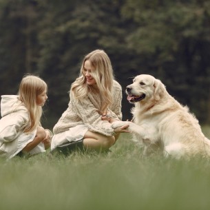 Zašto volimo pse? Nauka ima odgovor