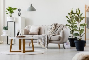 Bež monotoni interijeri odlaze u prošlost: Šta je sada u trendu?