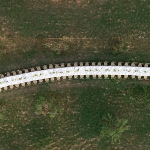 Romantično vjenčanje u Istri obilježio je spektakularno dugačak stol