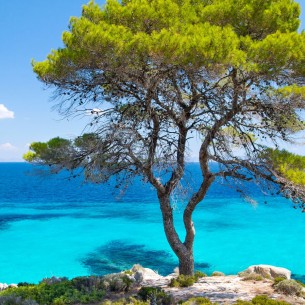 Ako planirate ljetovanje u Grčkoj, evo zašto je Halkidiki pun pogodak