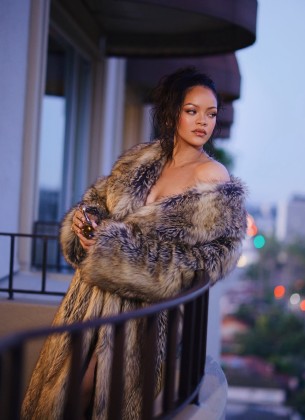 Žena optužena za pucanje na Rihanninu kuću suočava se s doživotnim zatvorom