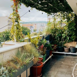 Nemate dvorište? Evo kako da napravite vrt na balkonu ili prozoru