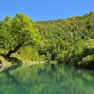 Biser netaknute prirode u Bosanskoj Krajini: Jeste li čuli za Vrelo Krušnice?