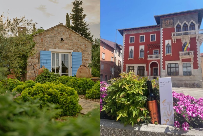 Od Istre do Hvara: Uljare koje vrijedi posjetiti ako ovog ljeta istražujete hrvatsku obalu