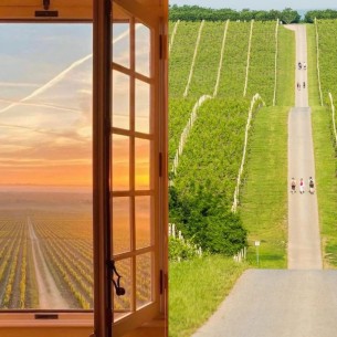 Jesen u Baranji izgleda poput razglednice: Vinogradi, vinski podrumi i pogledi
